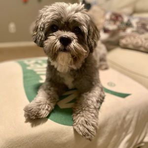 Meet your Posher, Taylor